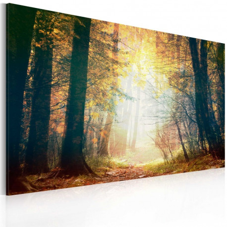 Seinapilt - Beauty of autumn - 90x60