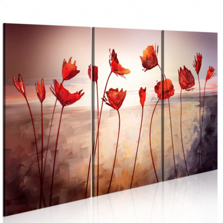 Seinapilt - Bright red poppies - 90x60