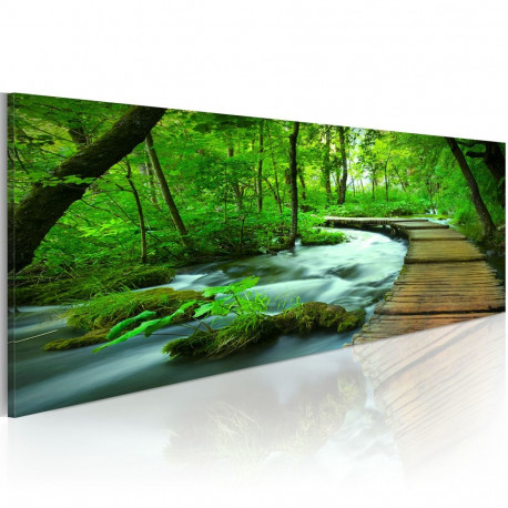 Seinapilt - Forest broadwalk - 135x45