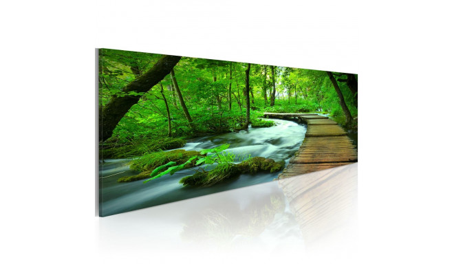 Seinapilt - Forest broadwalk - 135x45