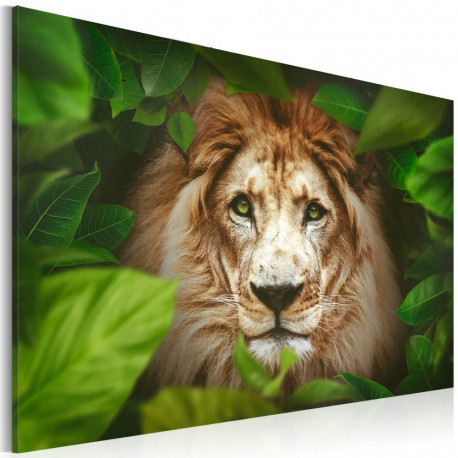 Seinapilt - Eyes of the jungle - 120x80