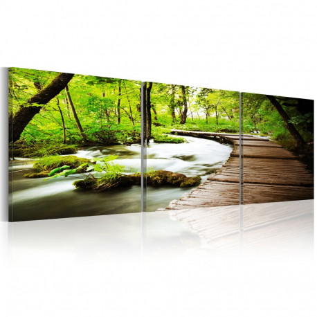 Seinapilt - Forest Brook - 150x50