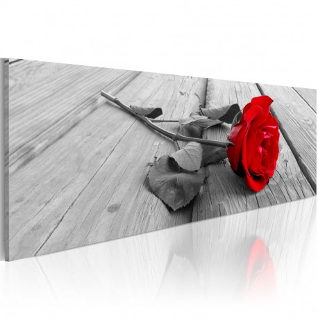 Seinapilt - Carmine rose - 120x40