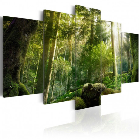 Seinapilt -  The Beauty of the Forest - 200x100