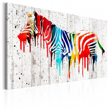 Seinapilt - Colourful Zebra - 120x80
