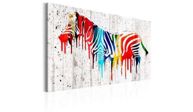 Seinapilt - Colourful Zebra - 90x60