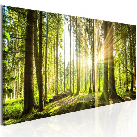 Seinapilt - Daylight - 120x40