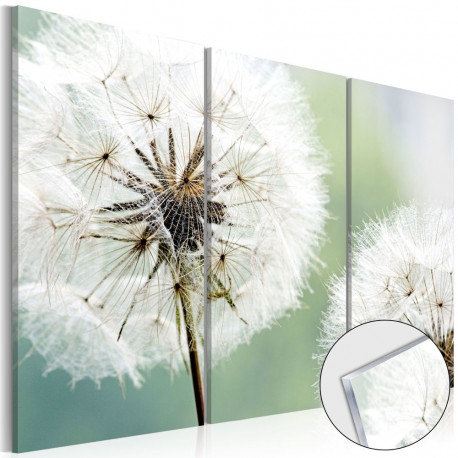 Fotoakrüül - Fluffy Dandelions [Glass] - 120x80