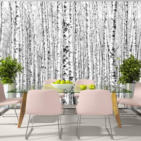 Fototapeet - Birch forest - 150x105