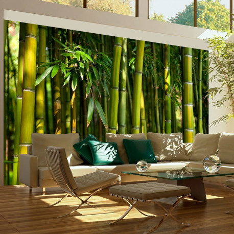 Fototapeet - Asian bamboo forest - 450x270