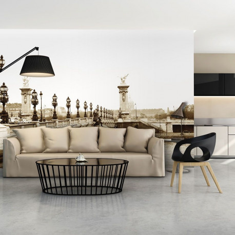 Fototapeet - Alexander III Bridge, Paris - 450x270