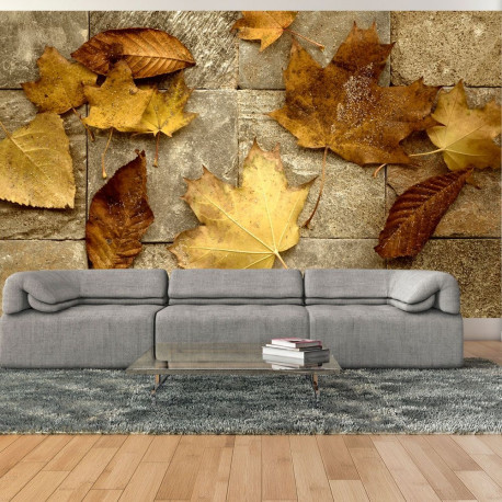 Fototapeet - Harbinger of autumn - 450x270