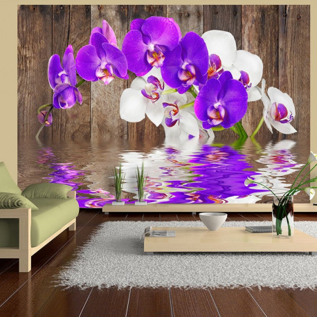 Fototapeet - Connection - 150x105