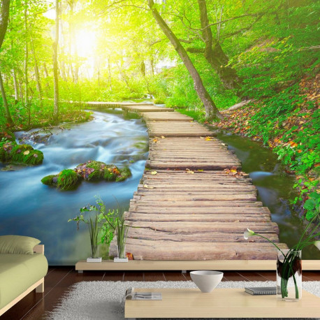 Fototapeet - Green forest - 200x140