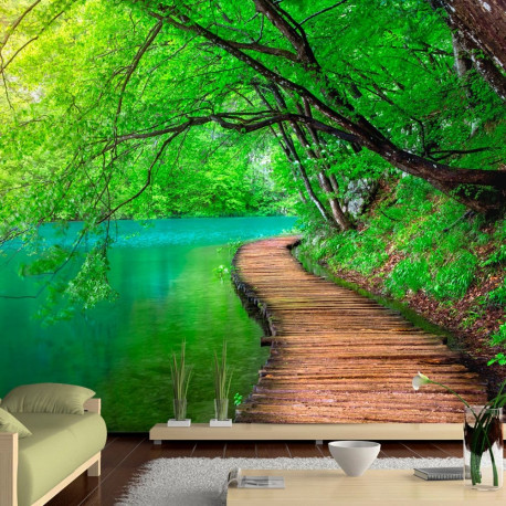 Fototapeet - Green peace - 350x245