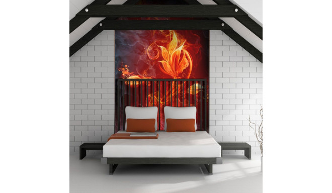 Fototapeet - Fiery flower - 250x193