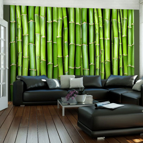 Fototapeet - Bamboo wall - 250x193