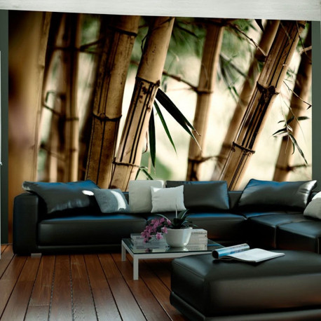 Fototapeet - Fog and bamboo forest - 200x154