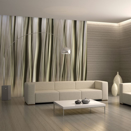 Fototapeet - Forest - 200x154