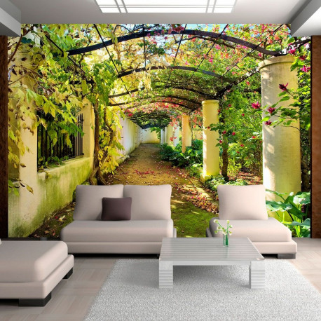 Fototapeet - Pergola - 150x105