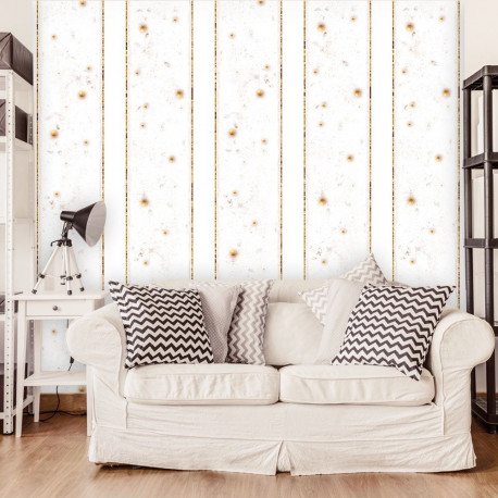 Fototapeet - Elegance & Style - 50x1000