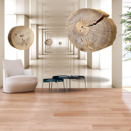 Fototapeet - Flying Discs of Wood - 300x210