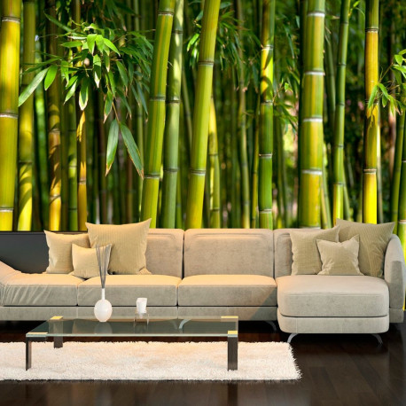 Fototapeet - Oriental Garden - 400x280