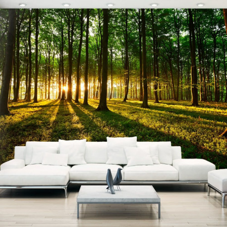 Fototapeet - Mystical Morning - 400x280