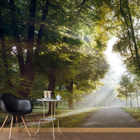Fototapeet - Morning Walk - 250x175