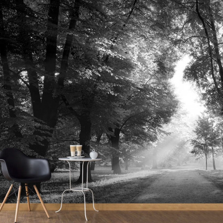 Fototapeet - Path of Memories - 200x140
