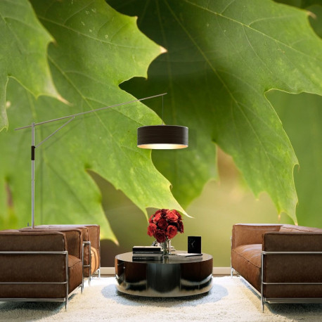 Fototapeet - Leaves - 200x154