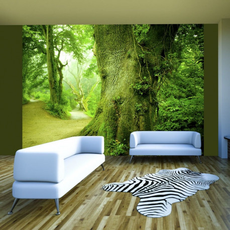 Fototapeet - Forest pathway - 300x231