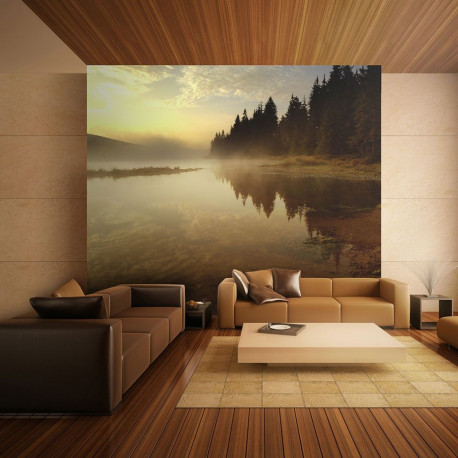 Fototapeet - Forest and lake - 200x154