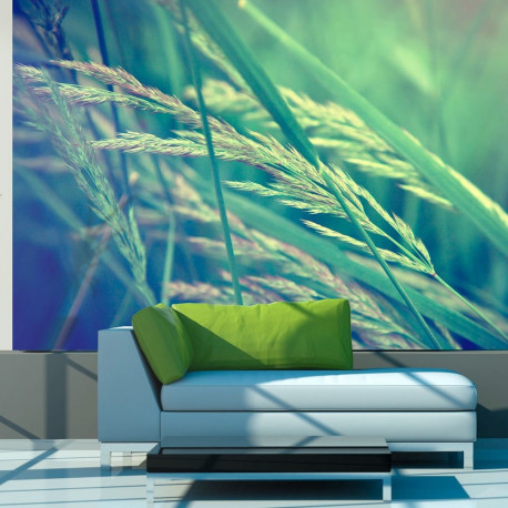 Fototapeet - Cereal field - 300x231