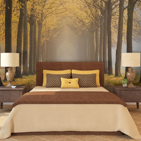 Fototapeet - Journey to the unknown - 350x270