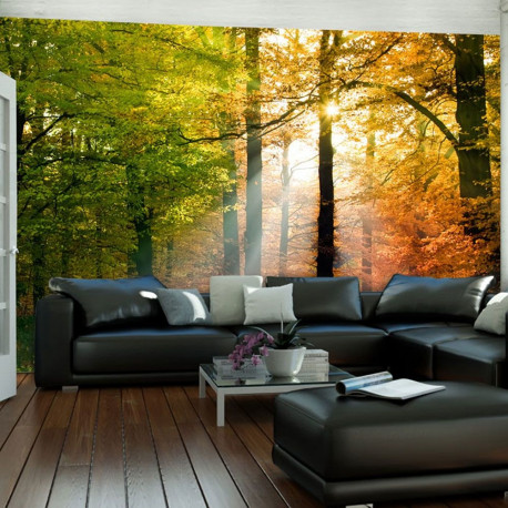 Fototapeet - Beautiful autumn - 300x231