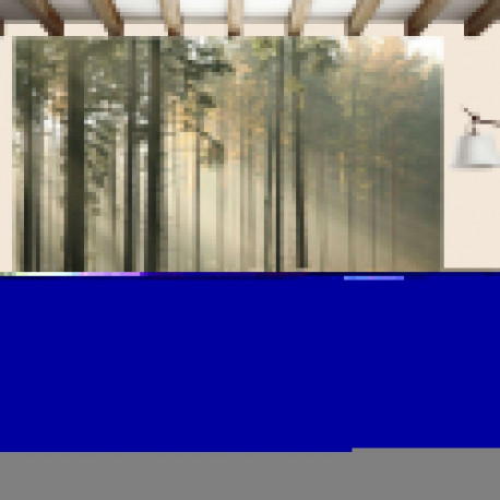 Fototapeet - Foggy November morning - 400x309