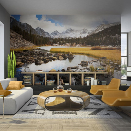 Fototapeet - Mountain stream - 400x309