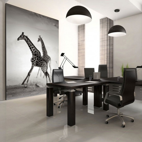 Fototapeet - Giraffes - 400x309