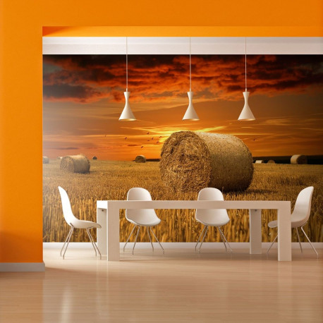 Fototapeet - Fields of gold - 350x270