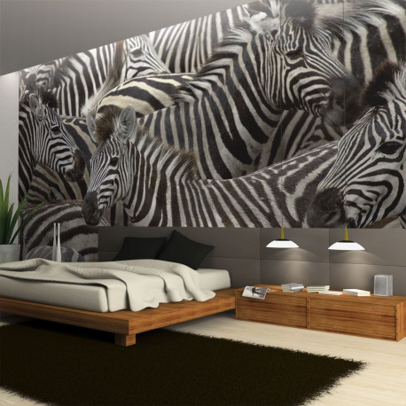 Fototapeet - Herd of zebras - 250x193