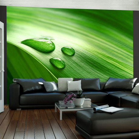 Fototapeet - Leaf and three drops of water - 200x154