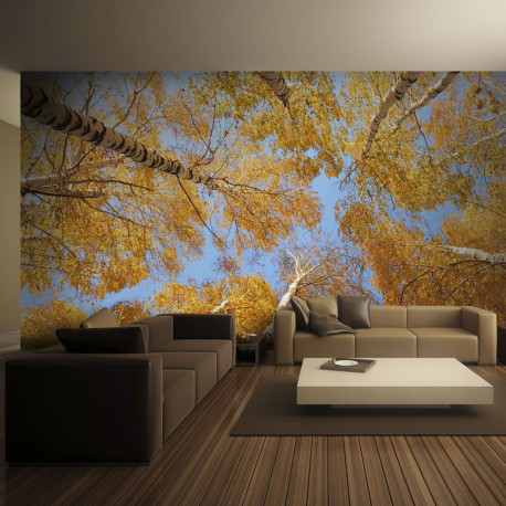 Fototapeet - Autumnal treetops - 250x193