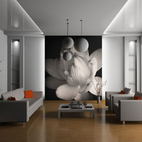 Fototapeet - Lotus flower - 250x193