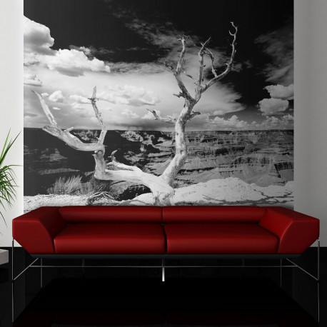 Fototapeet - Grand Canyon tree - 300x231
