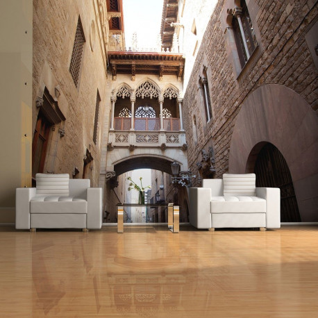 Fototapeet - Barcelona Palau generalitat in gothic Barrio - 350x270