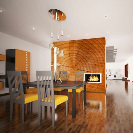 Fototapeet - Annual rings on a tree trunk - 250x193