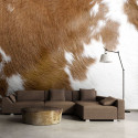 Fototapeet - Cowhide - 250x193