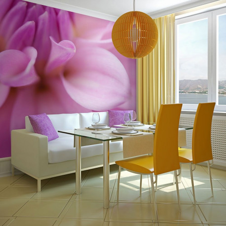 Fototapeet - Flower petals - dahlia - 200x154