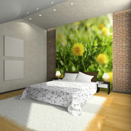 Fototapeet - Dandelion flowers - 400x309